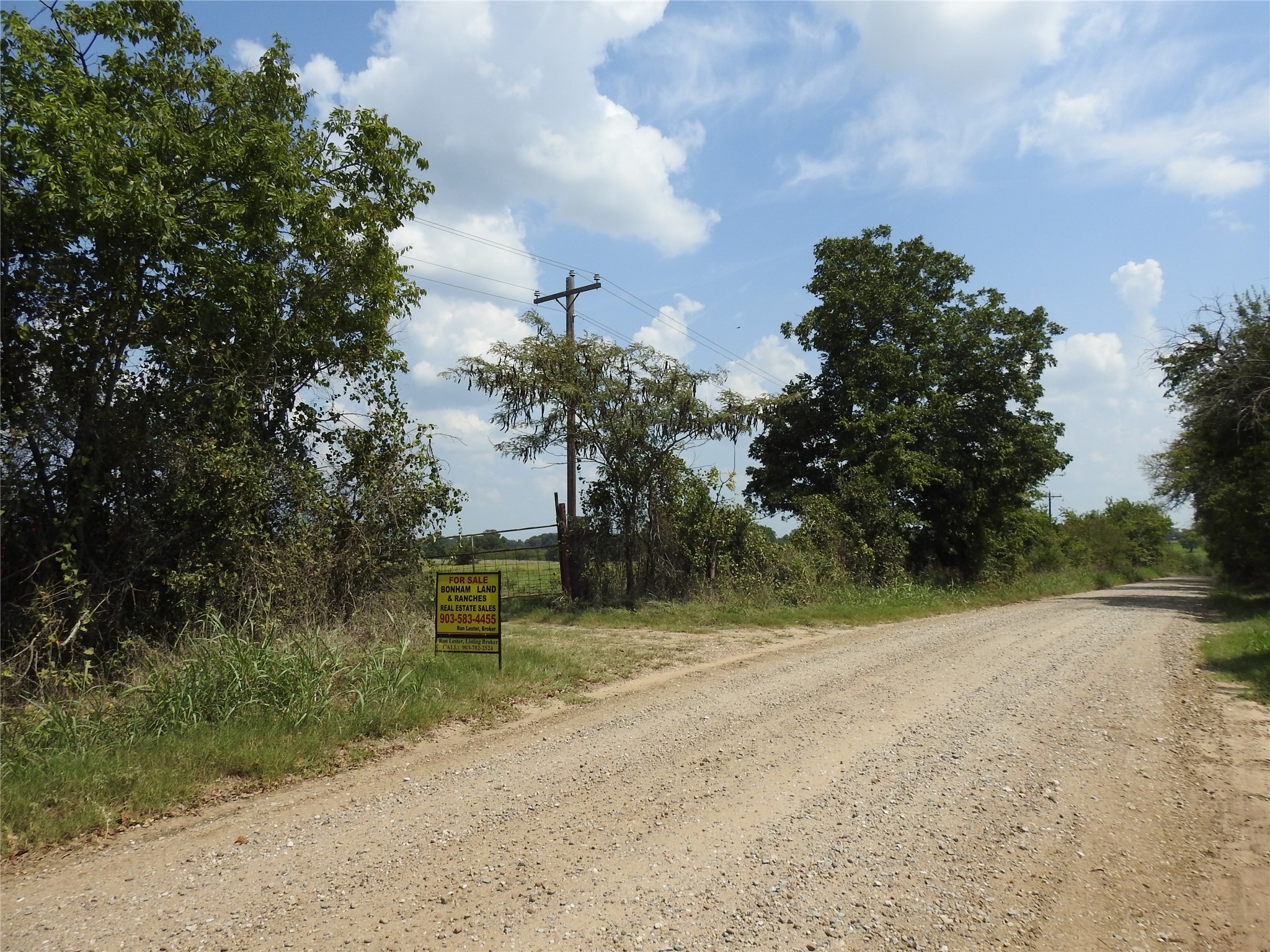 Tbd County Road 4040 Ector TX 75439
