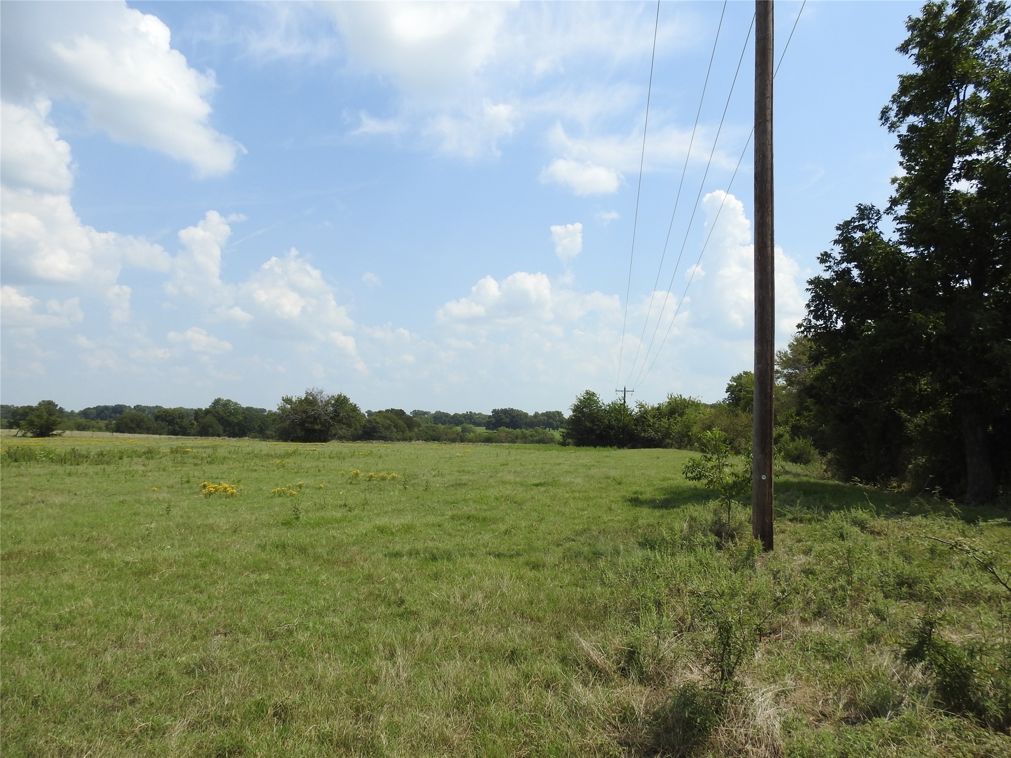 Tbd County Road 4040 Ector TX 75439