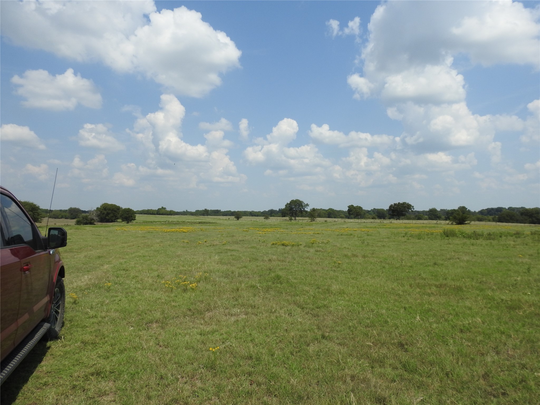 Tbd County Road 4040 Ector TX 75439