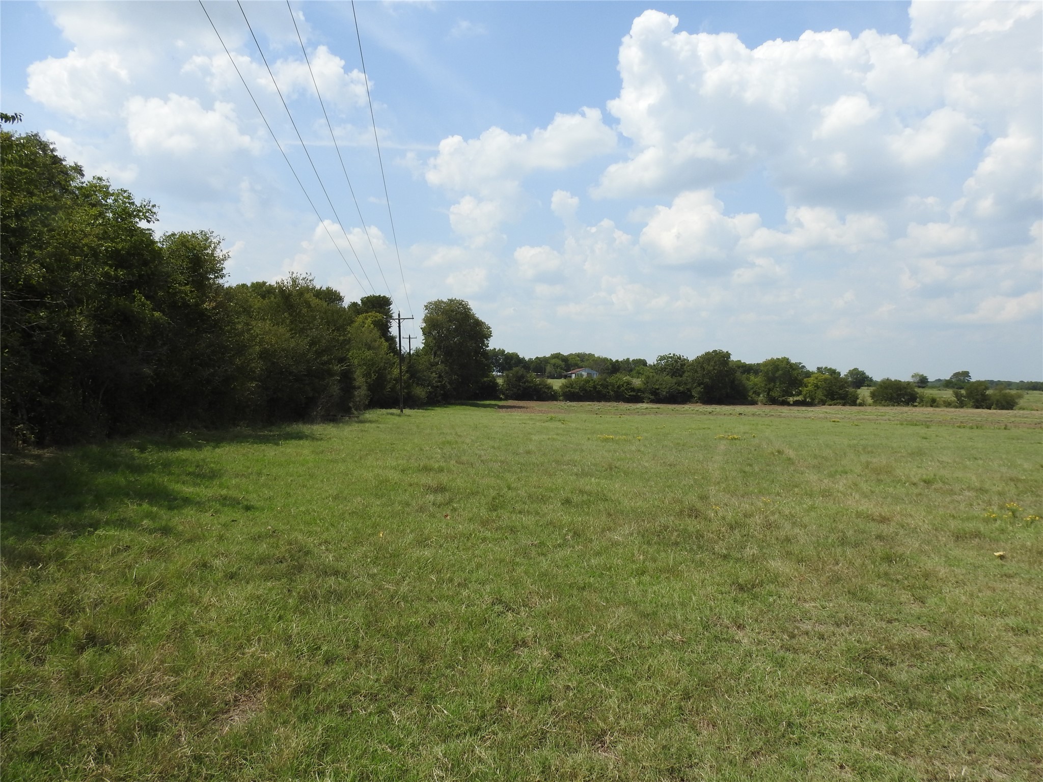 Tbd County Road 4040 Ector TX 75439