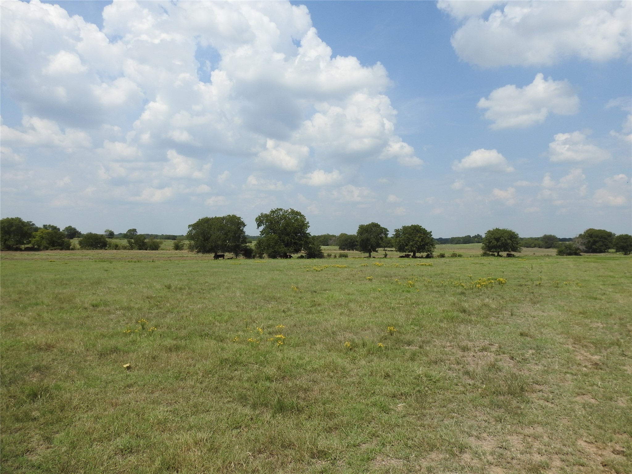Tbd County Road 4040 Ector TX 75439