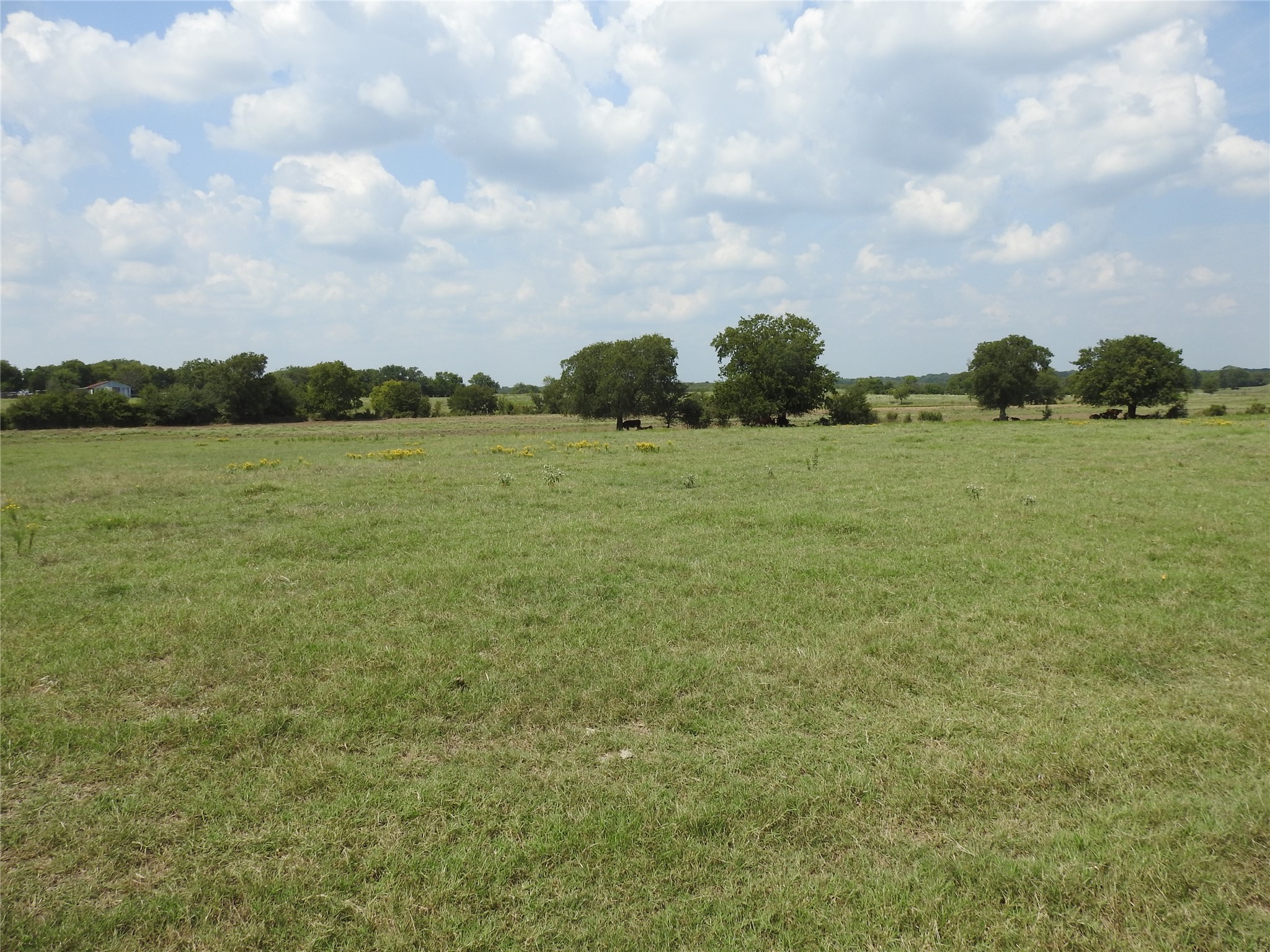 Tbd County Road 4040 Ector TX 75439