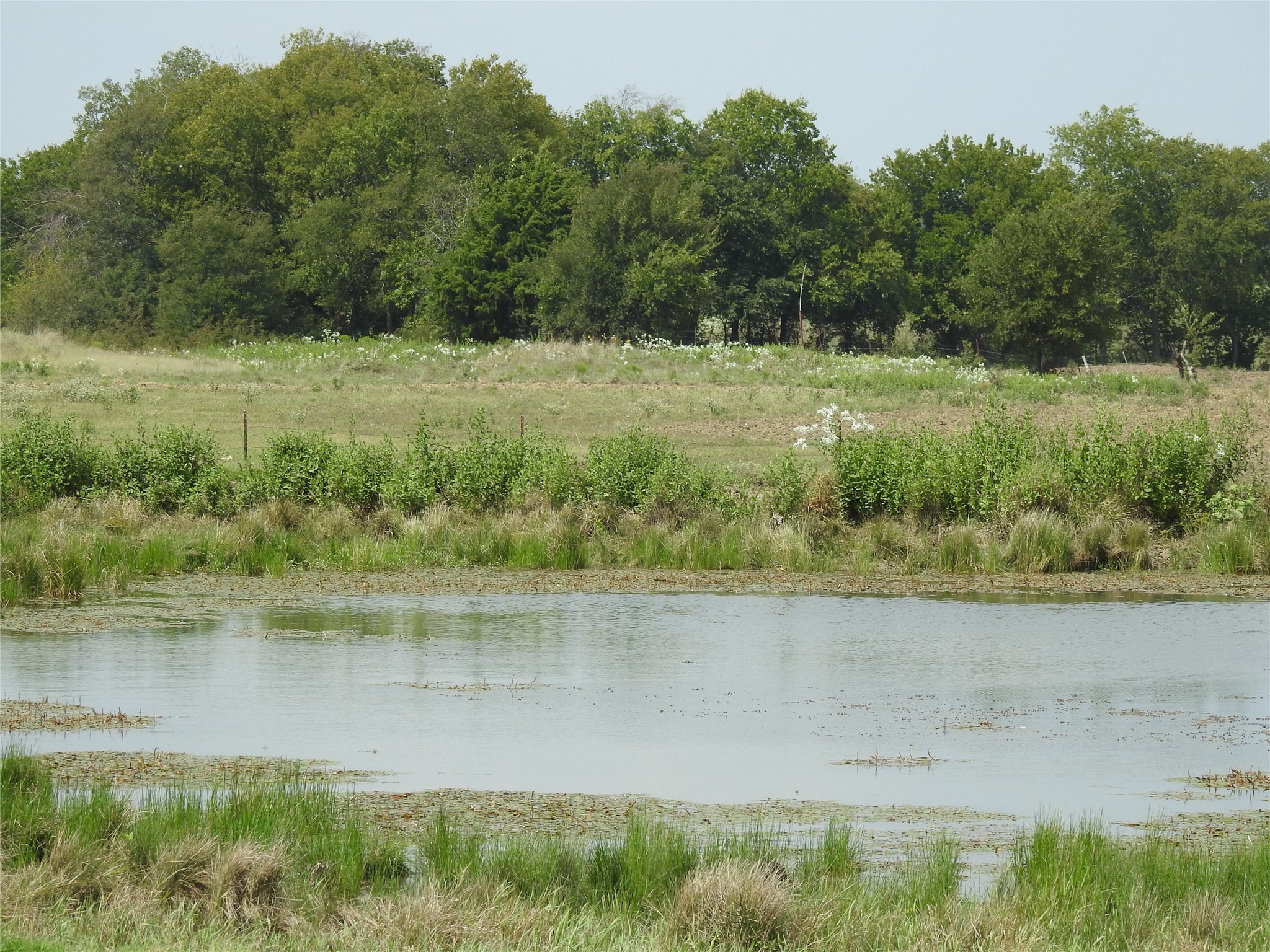 Tbd County Road 4040 Ector TX 75439