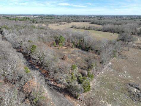 Tbd State Highway 154 Quitman TX 75783