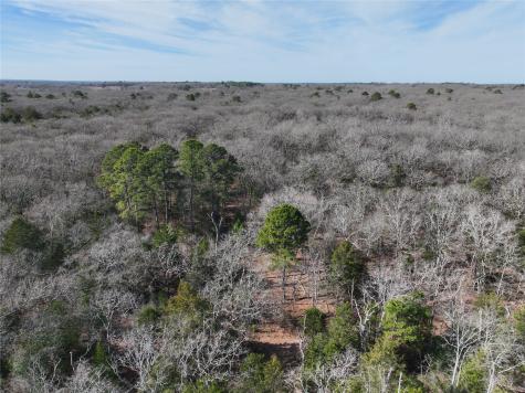 Tbd State Highway 154 Quitman TX 75783