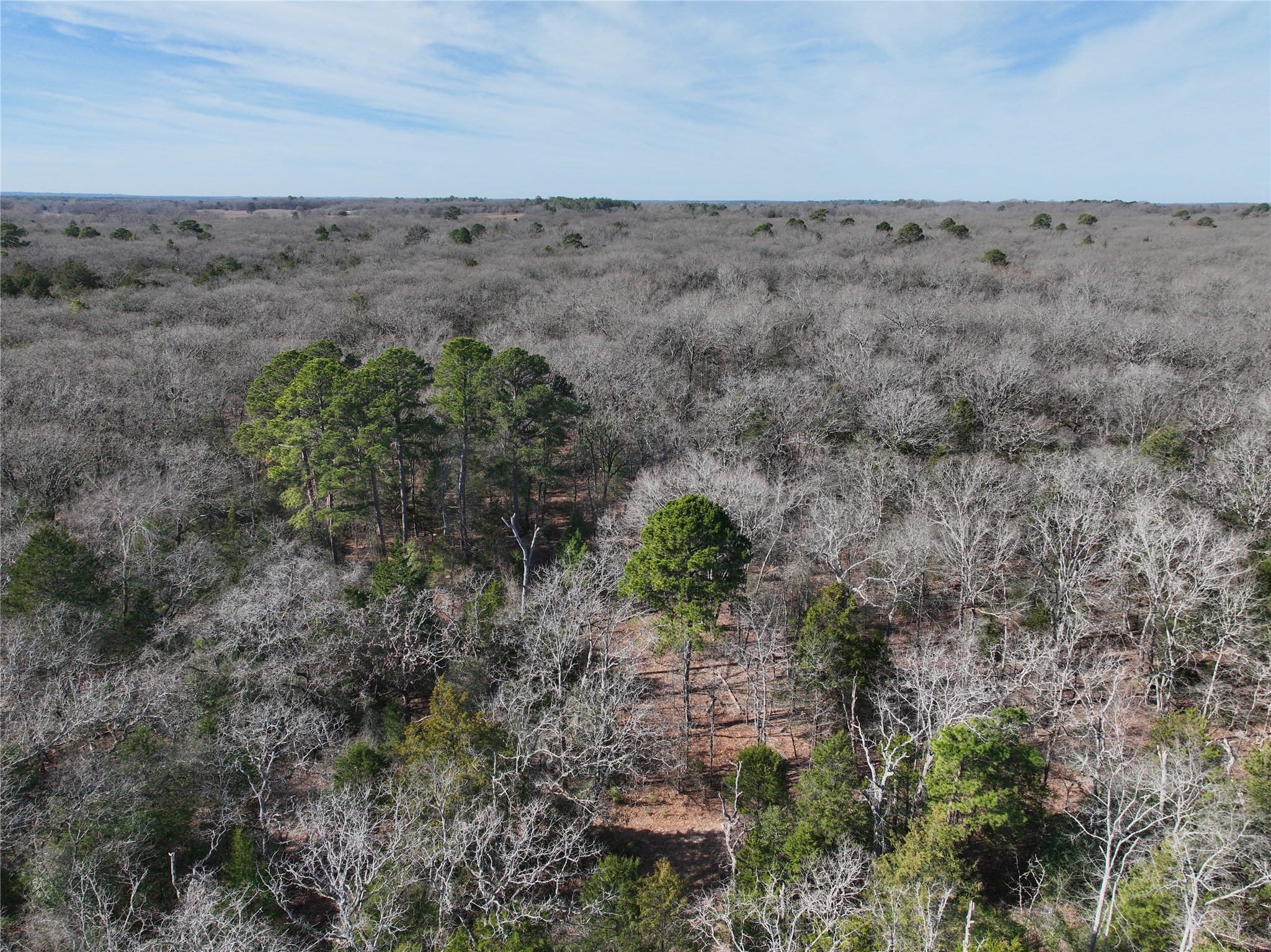 Tbd State Highway 154 Quitman TX 75783