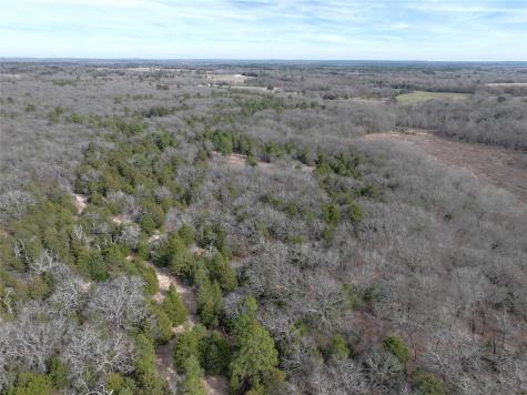 Tbd State Highway 154 Quitman TX 75783