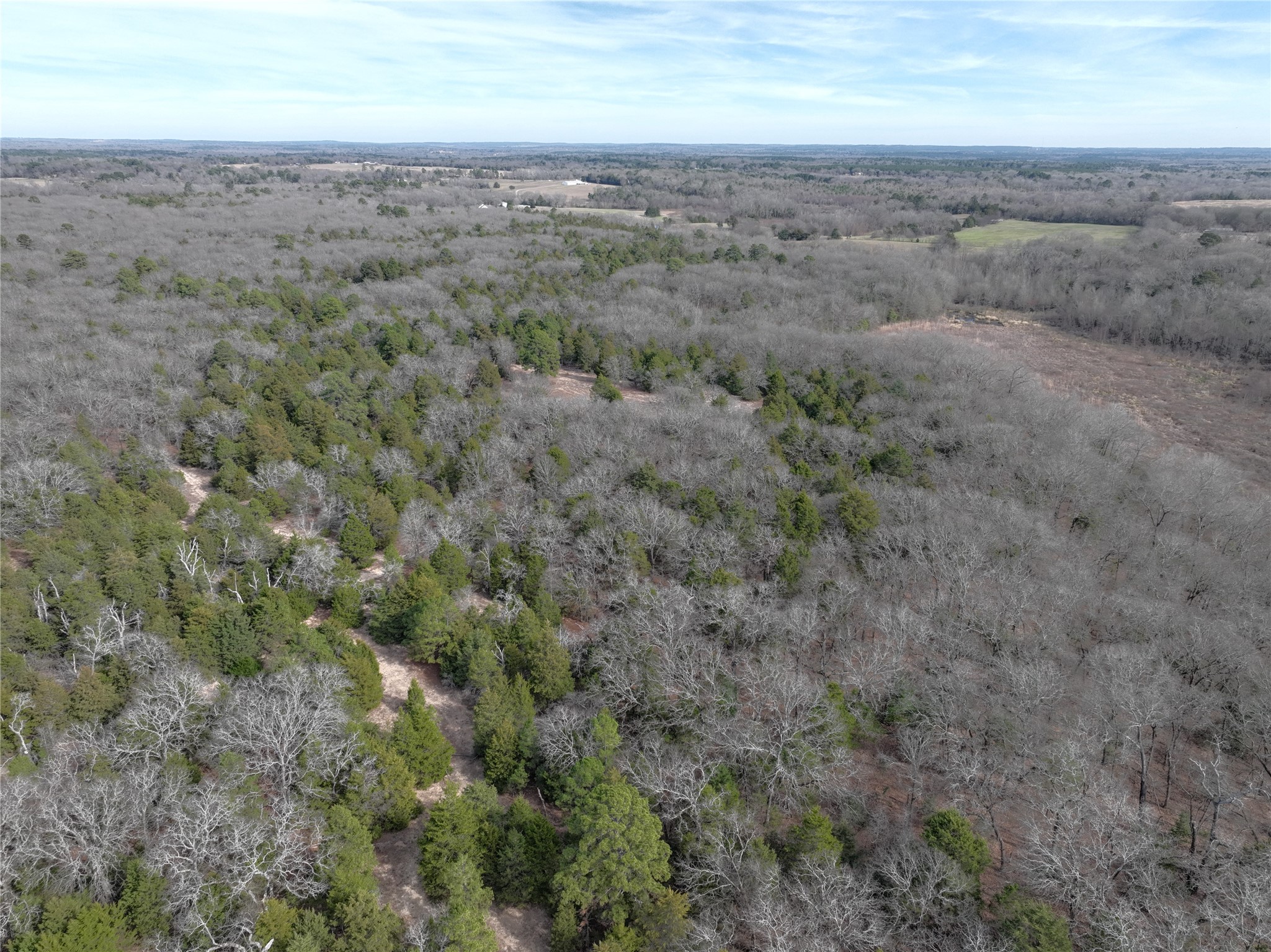 Tbd State Highway 154 Quitman TX 75783
