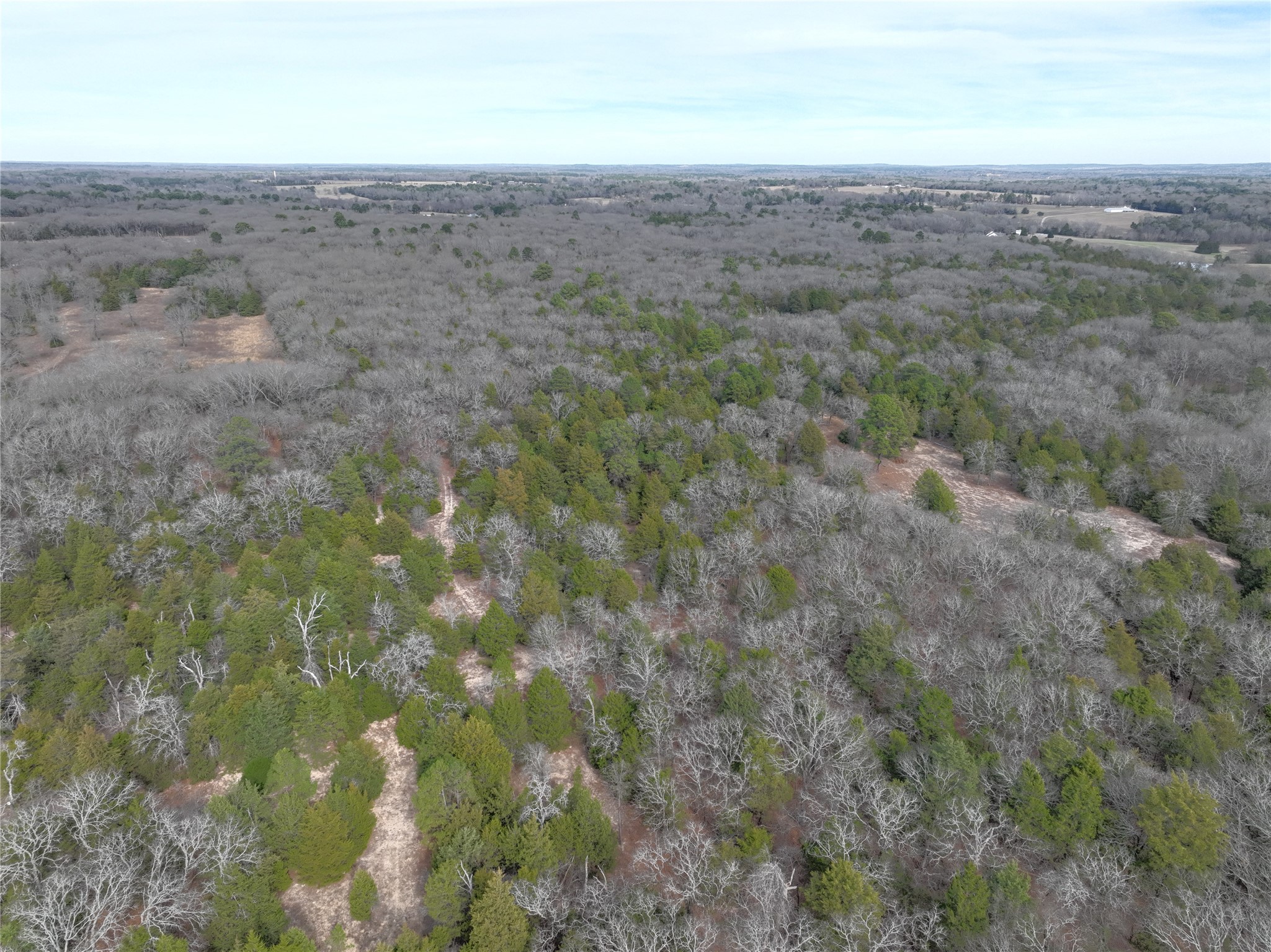 Tbd State Highway 154 Quitman TX 75783