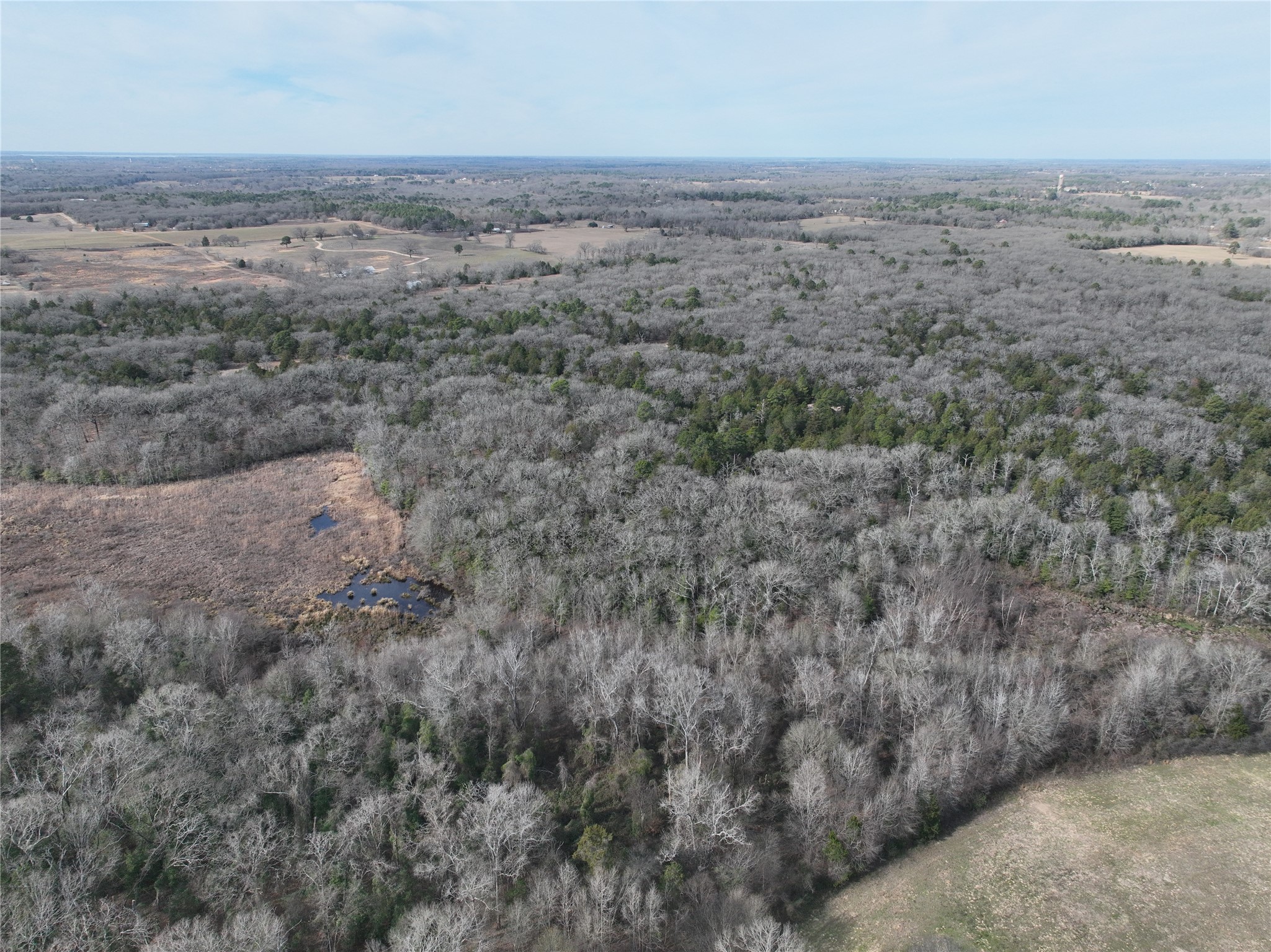 Tbd State Highway 154 Quitman TX 75783