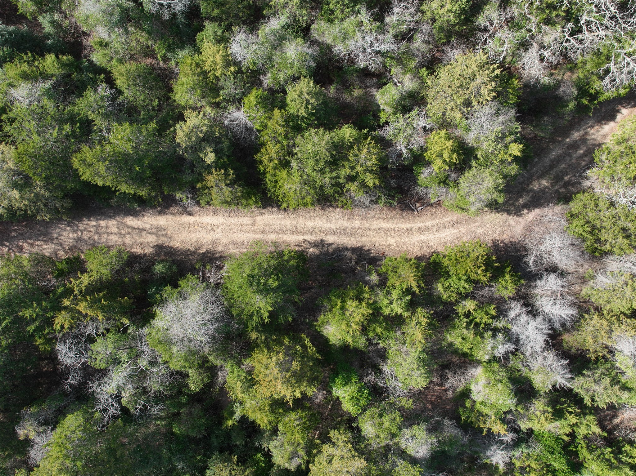 Tbd State Highway 154 Quitman TX 75783