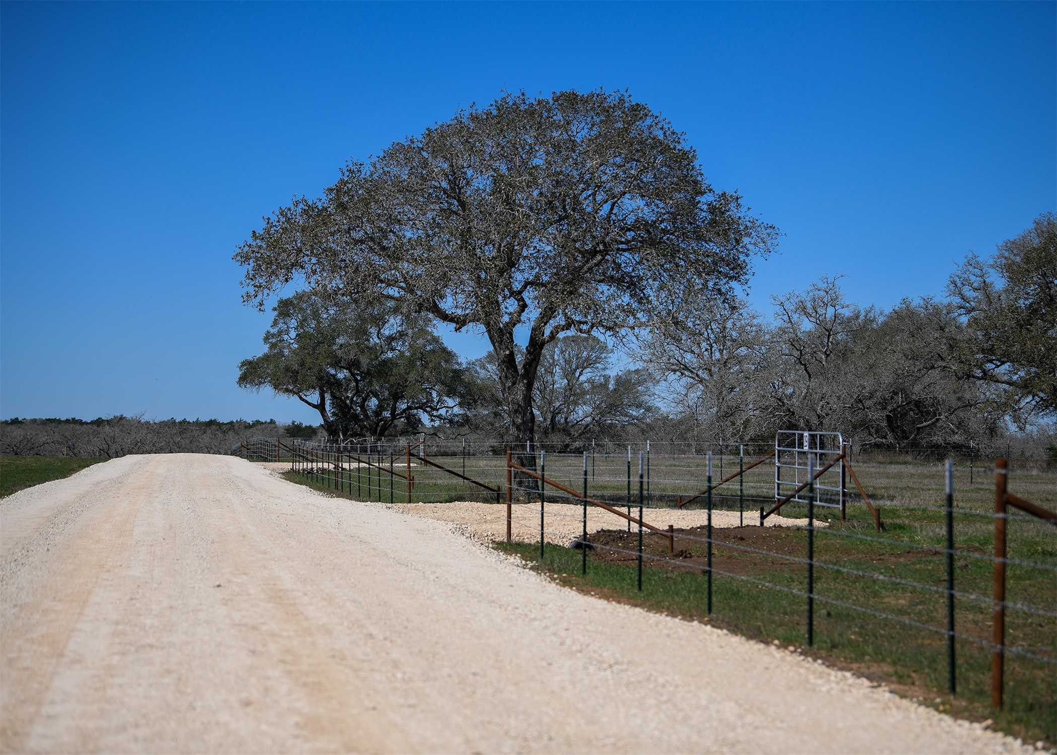 316 Main Loop Waelder TX 78959