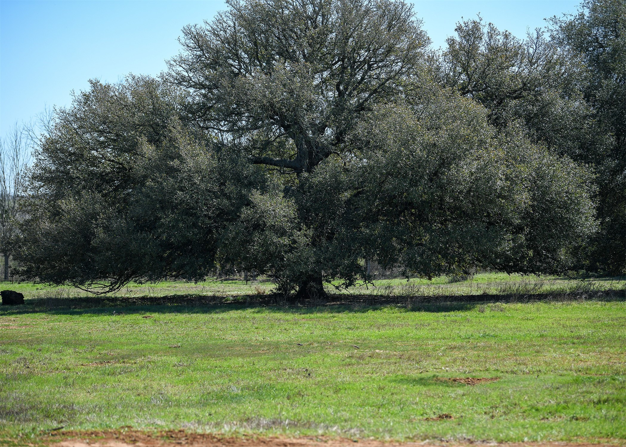 316 Main Loop Waelder TX 78959