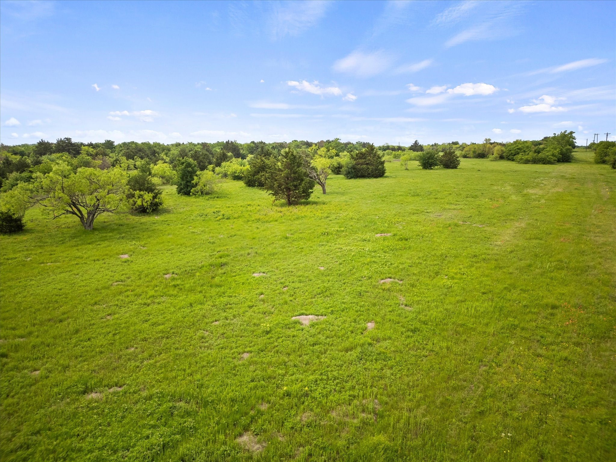 19498 Tx-34 Highway Terrell TX 75161