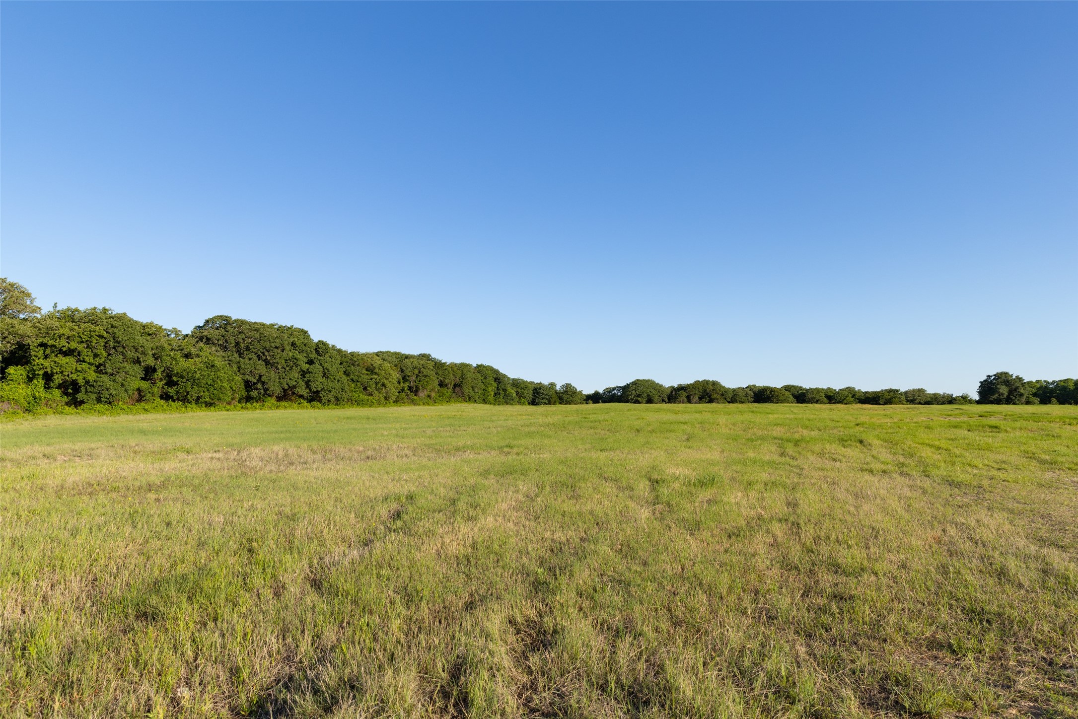 Tbd 14 County Road 175 Stephenville TX 76401