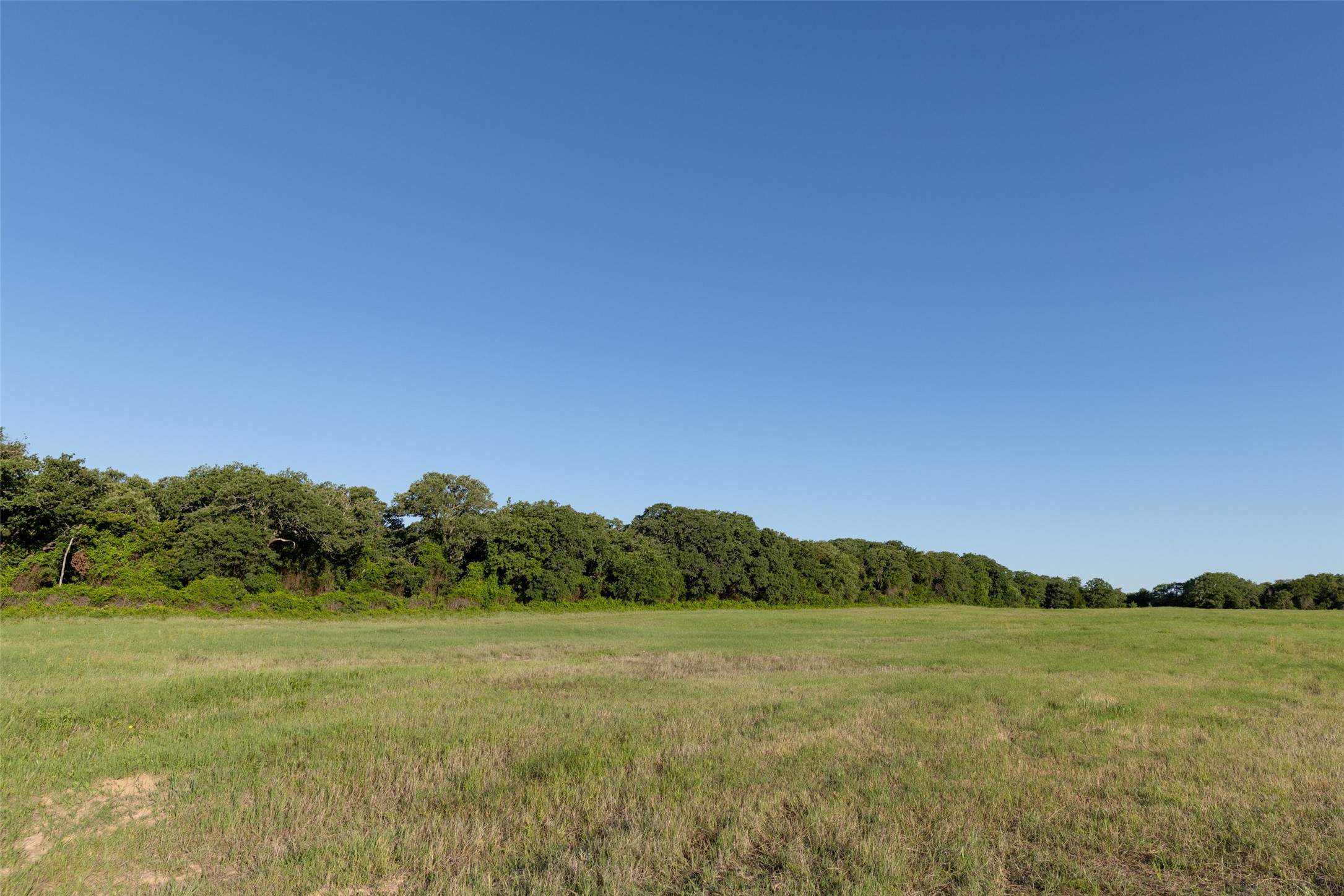 Tbd 14 County Road 175 Stephenville TX 76401