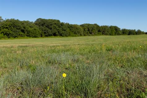 Tbd 14 County Road 175 Stephenville TX 76401