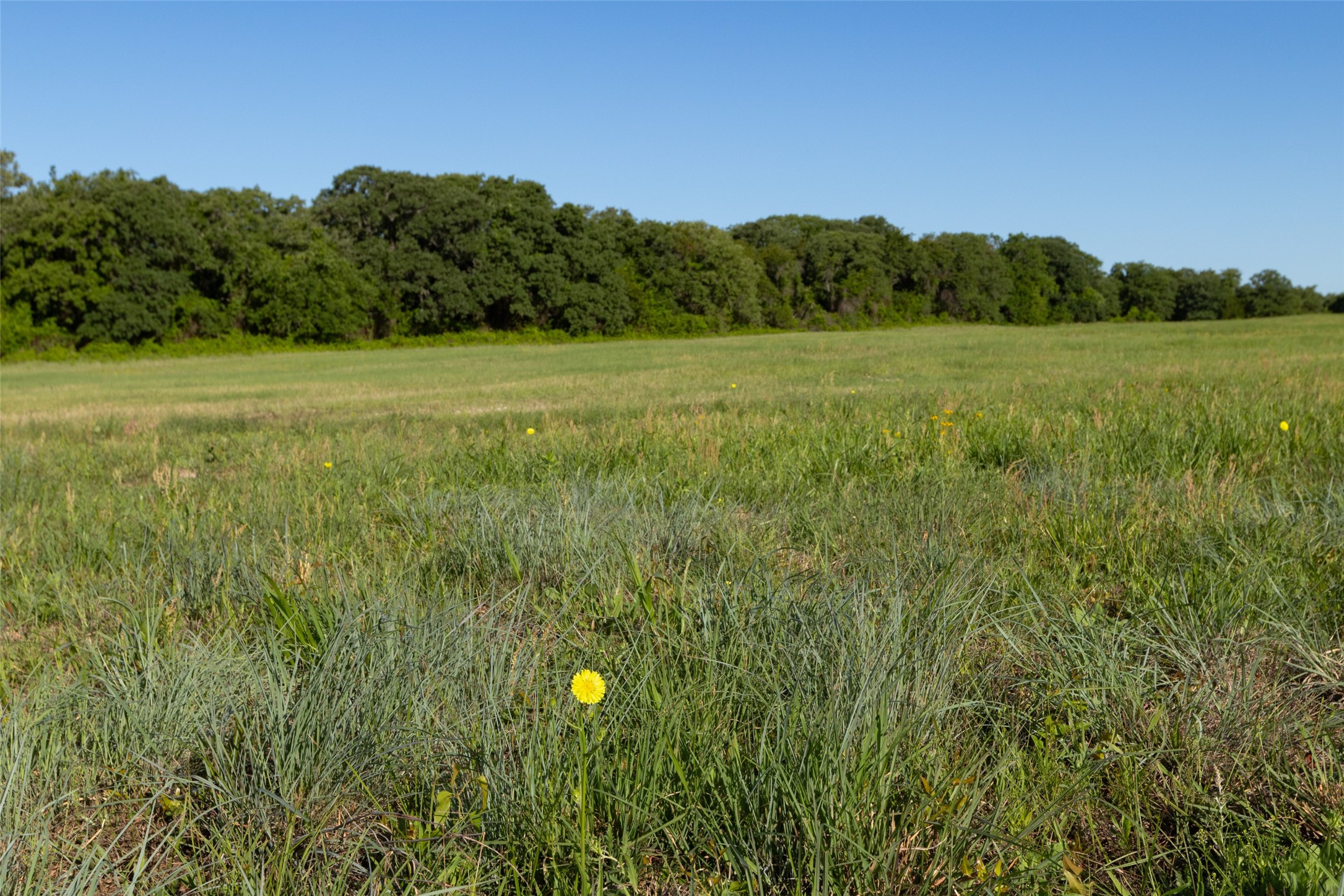 Tbd 14 County Road 175 Stephenville TX 76401