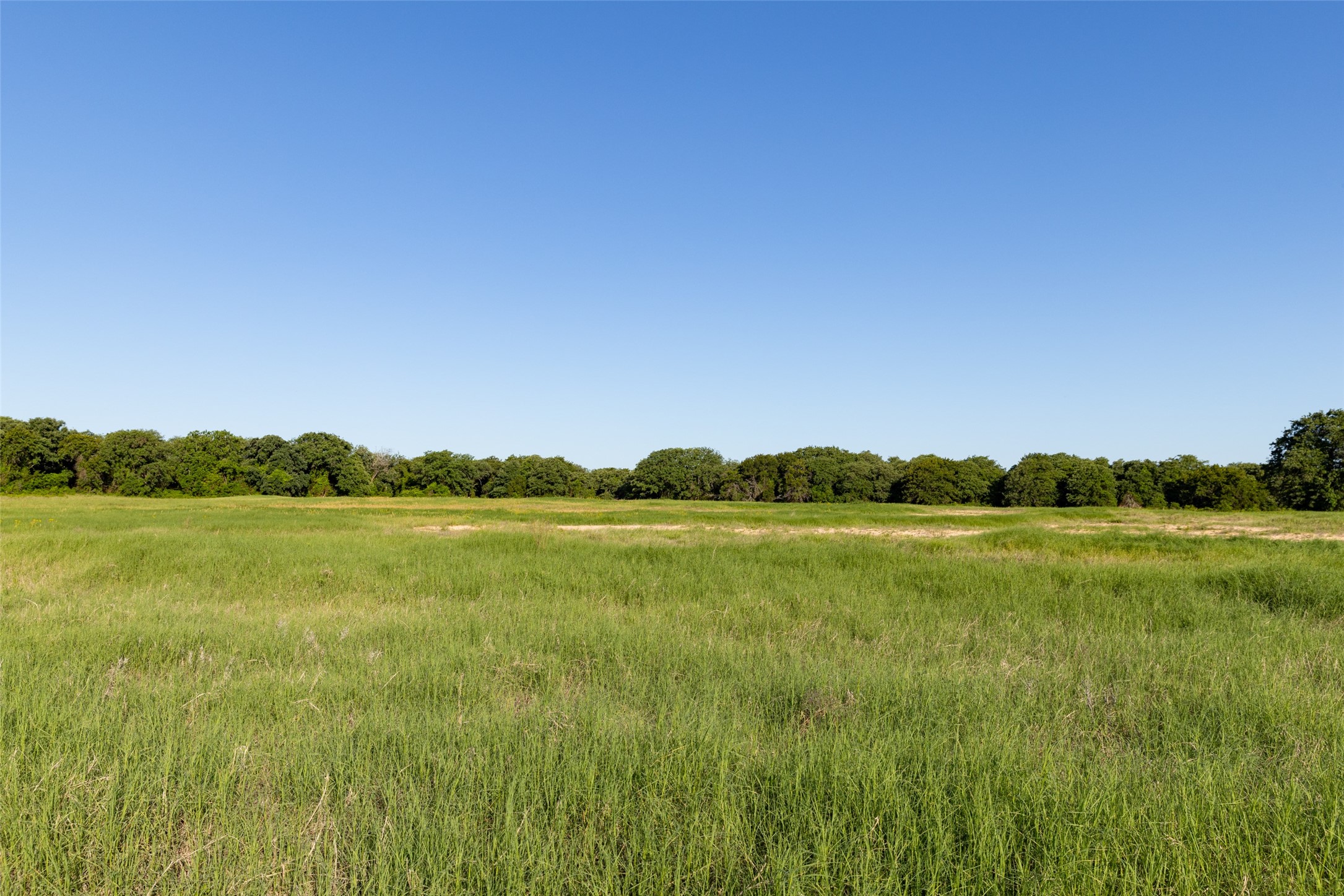 Tbd 14 County Road 175 Stephenville TX 76401