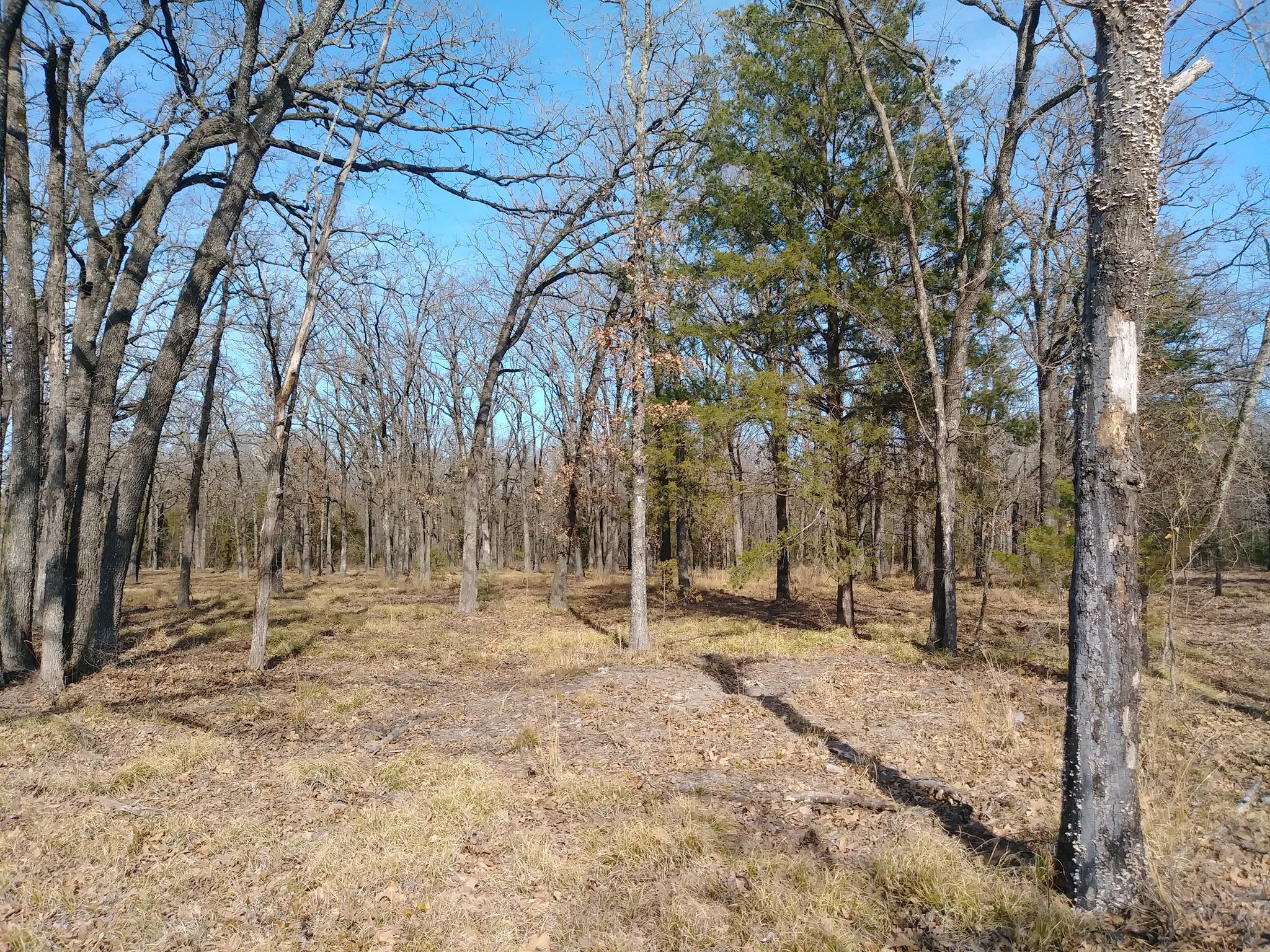 Lot 5 Epic Shore Drive Quinlan TX 75474