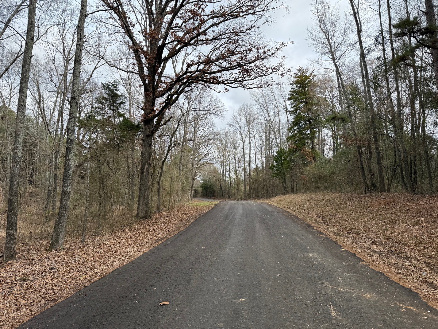 Tbd County Road 3986 Winnsboro TX 75494