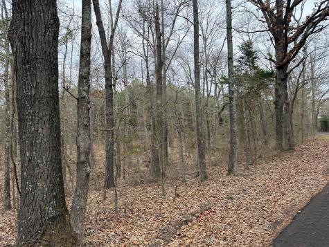 Tbd County Road 3986 Winnsboro TX 75494