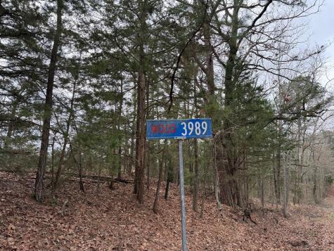 Tbd County Road 3986 Winnsboro TX 75494