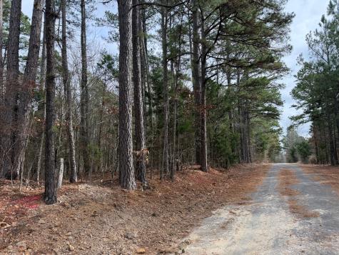 Tbd County Road 3986 Winnsboro TX 75494