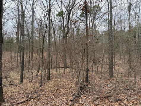Tbd County Road 3986 Winnsboro TX 75494