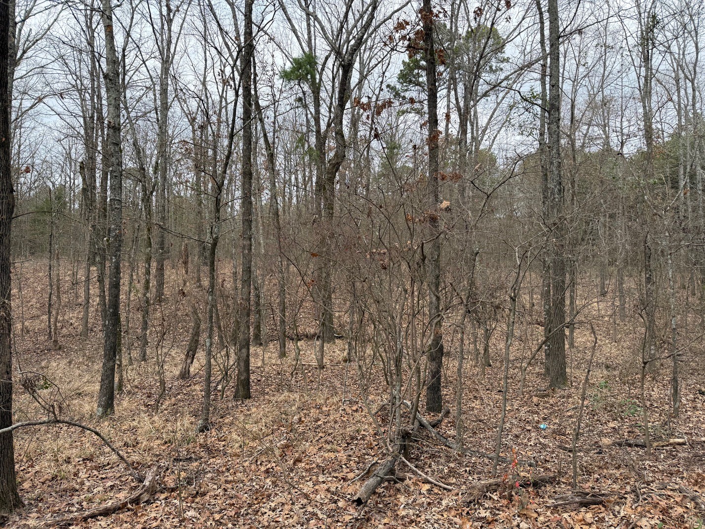 Tbd County Road 3986 Winnsboro TX 75494