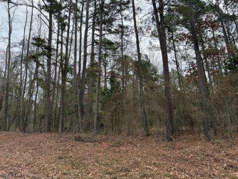 Tbd County Road 3986 Winnsboro TX 75494