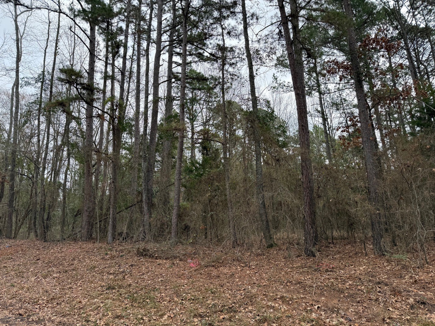Tbd County Road 3986 Winnsboro TX 75494