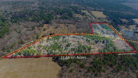 Tbd County Road 3986 Winnsboro TX 75494