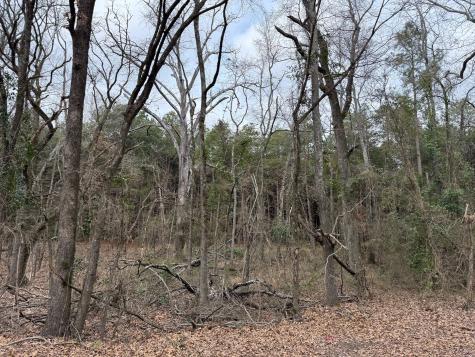Tbd County Road 3986 Winnsboro TX 75494