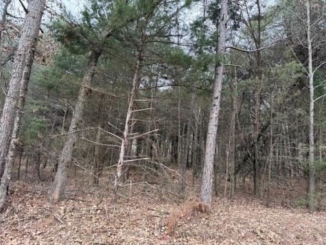 Tbd County Road 3986 Winnsboro TX 75494