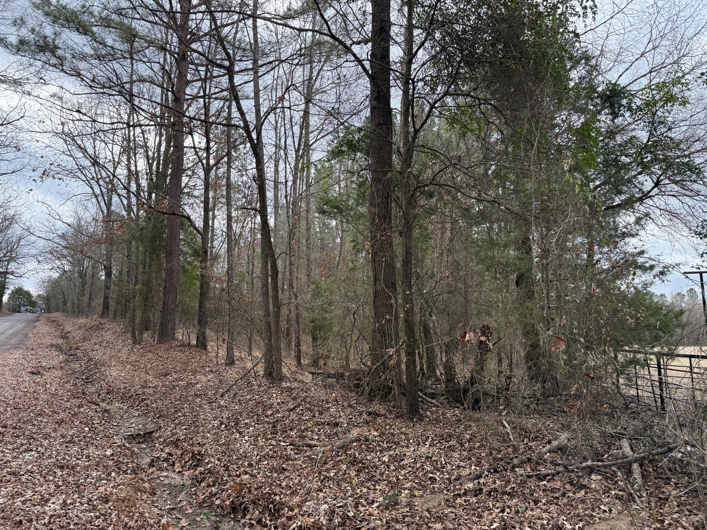 Tbd County Road 3986 Winnsboro TX 75494