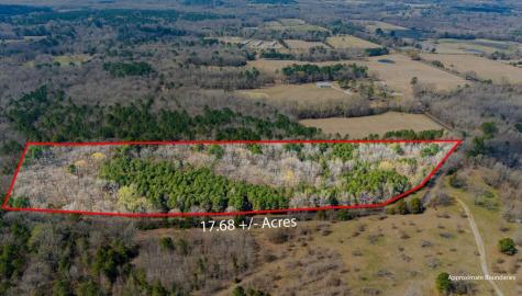 Tbd County Road 3986 Winnsboro TX 75494