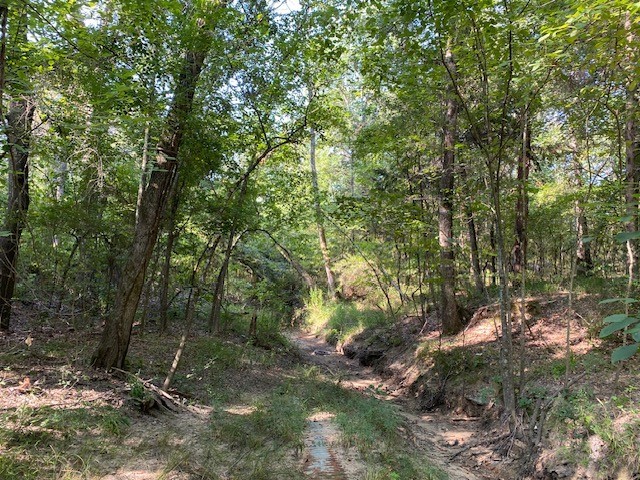 Trail 3-b Cr 41514 Athens TX 75751
