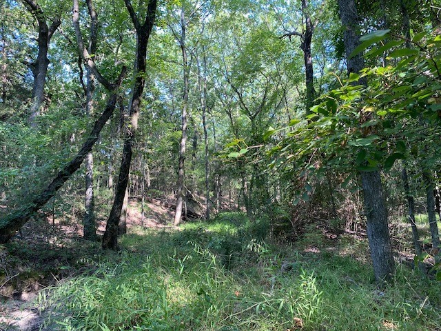 Trail 3-b Cr 41514 Athens TX 75751