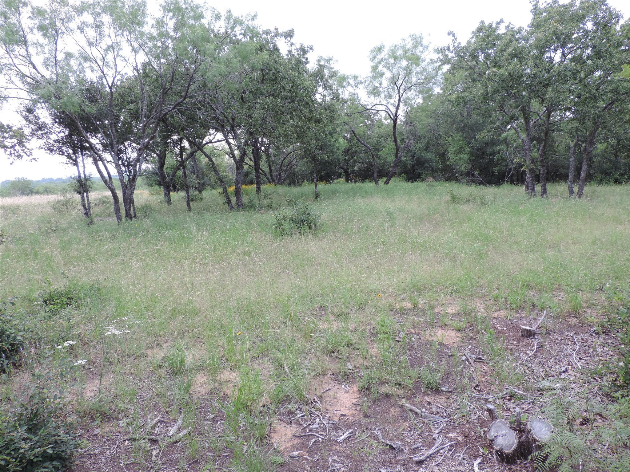 Lot 57 Paradise Oaks Ranch Perrin TX 76487