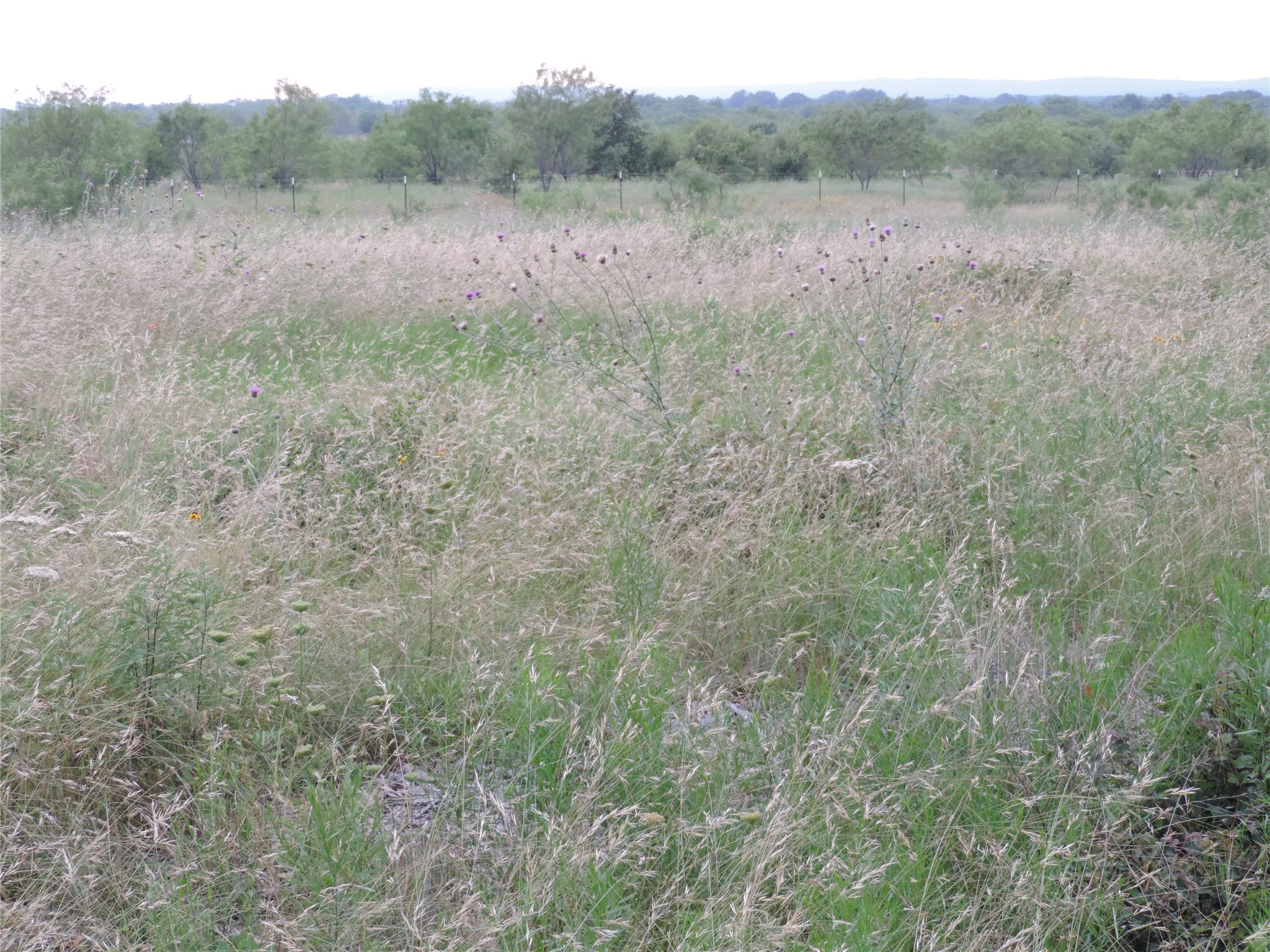 Lot 57 Paradise Oaks Ranch Perrin TX 76487