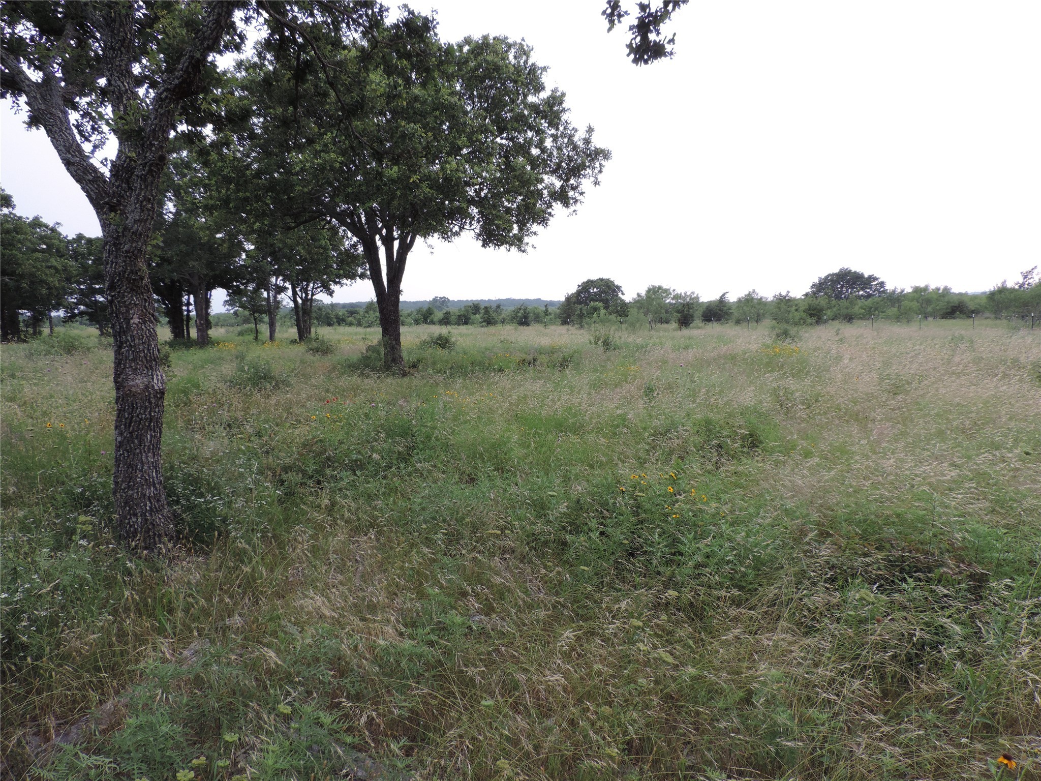 Lot 57 Paradise Oaks Ranch Perrin TX 76487