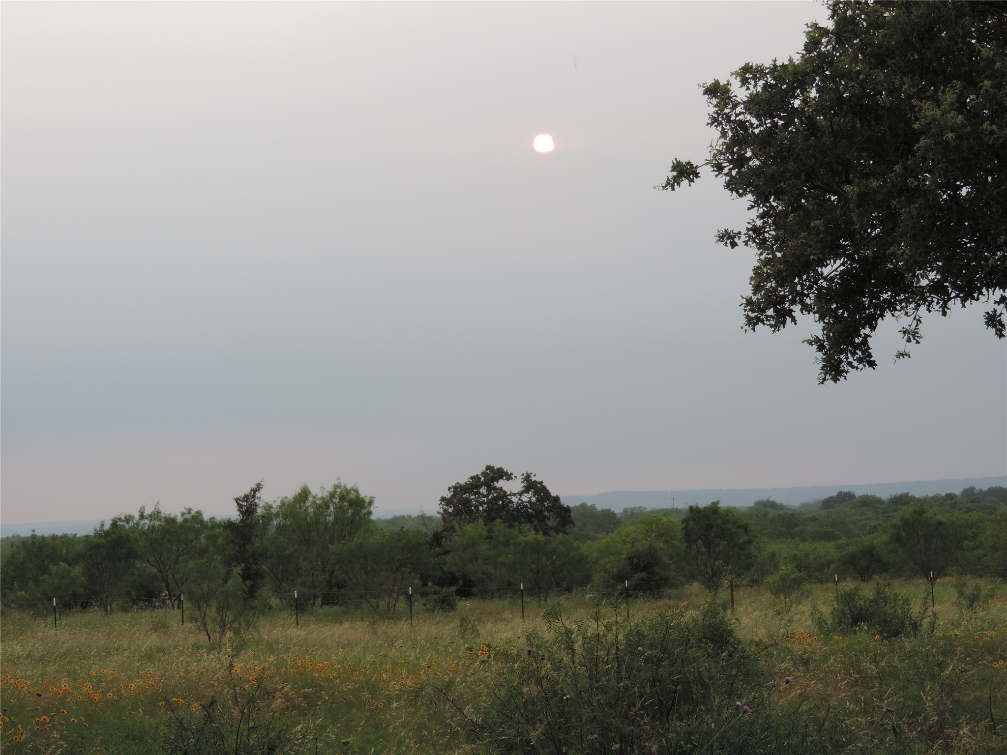 Lot 57 Paradise Oaks Ranch Perrin TX 76487
