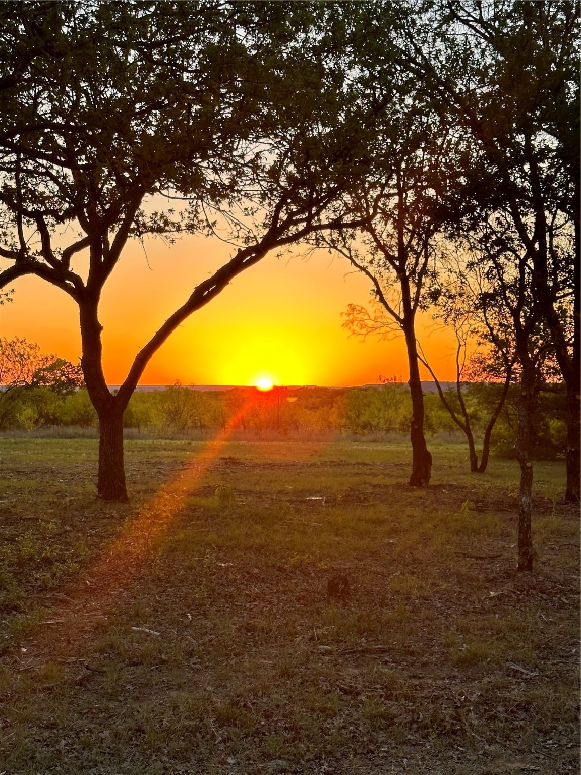 Lot 57 Paradise Oaks Ranch Perrin TX 76487