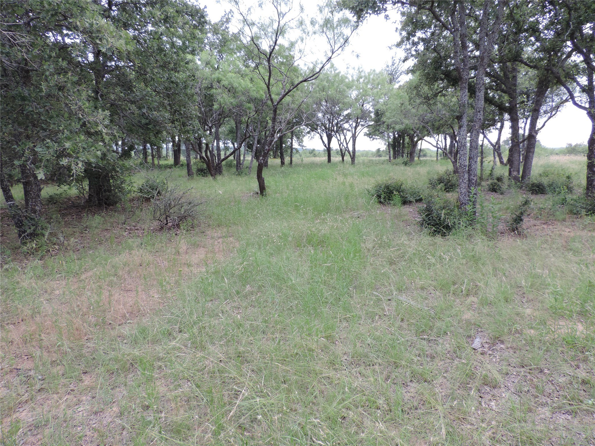 Lot 57 Paradise Oaks Ranch Perrin TX 76487