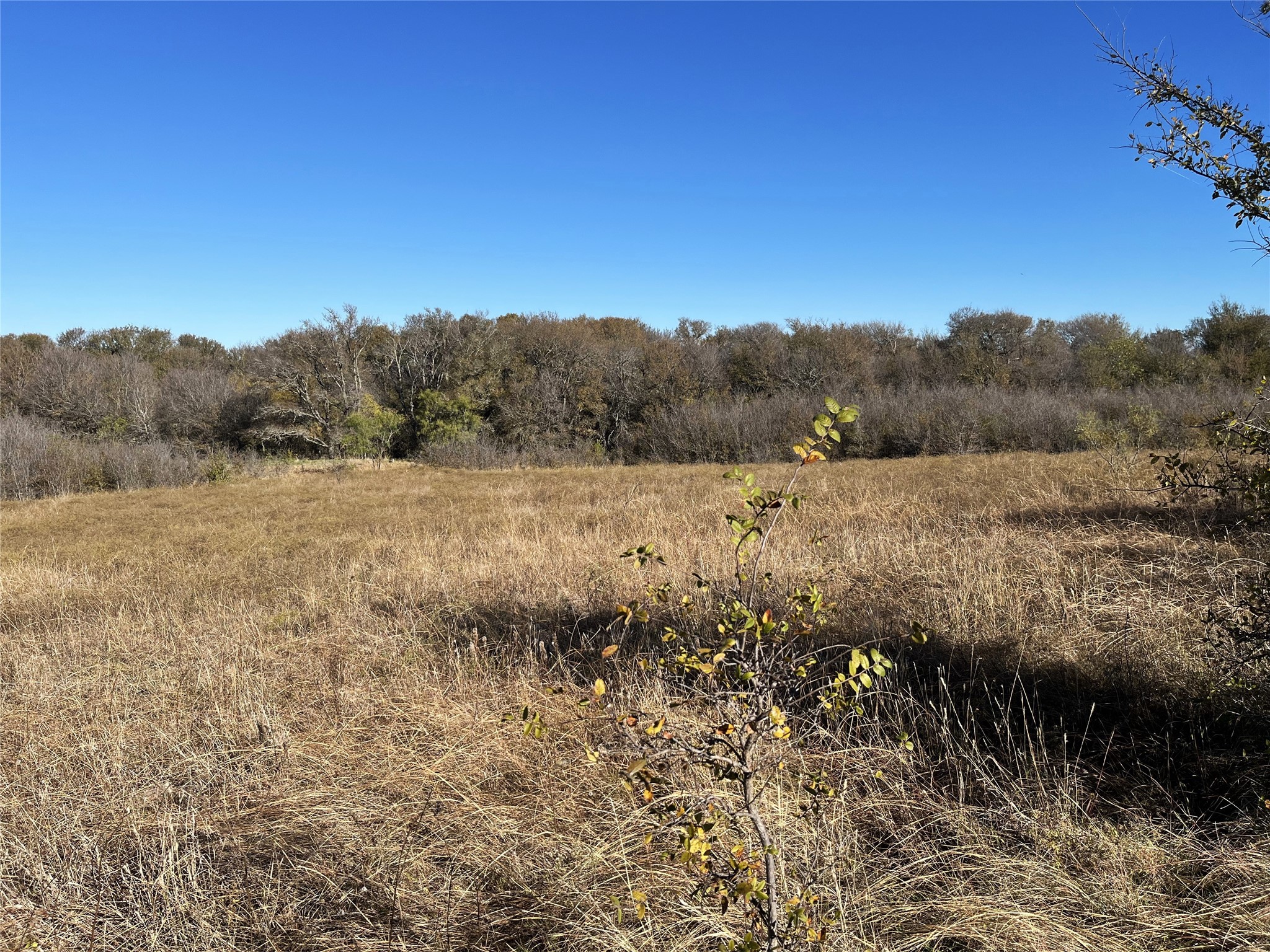 13 Bounds Road Gunter TX 75058