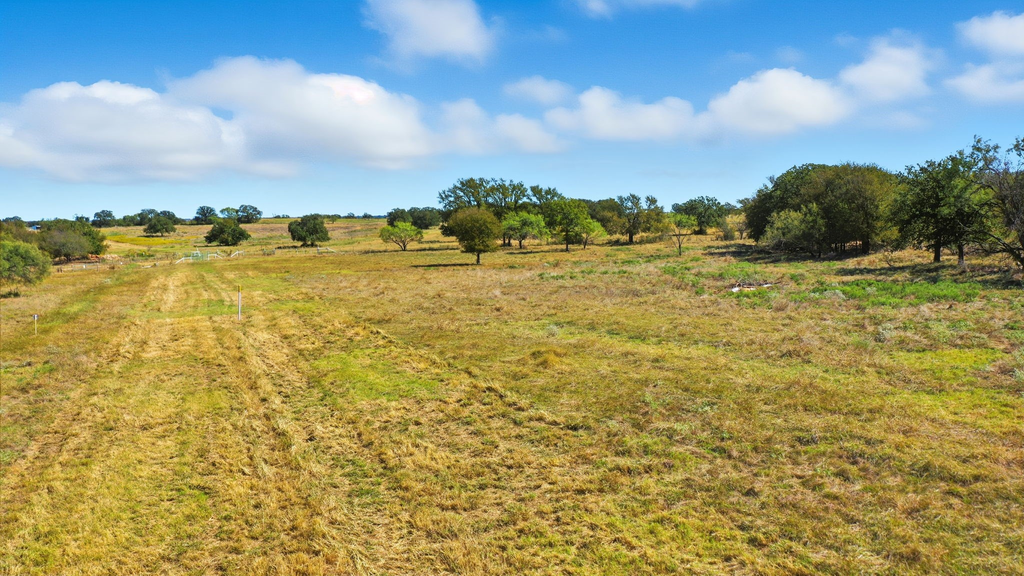 Tbd S Fm Road 113 Millsap TX 76066