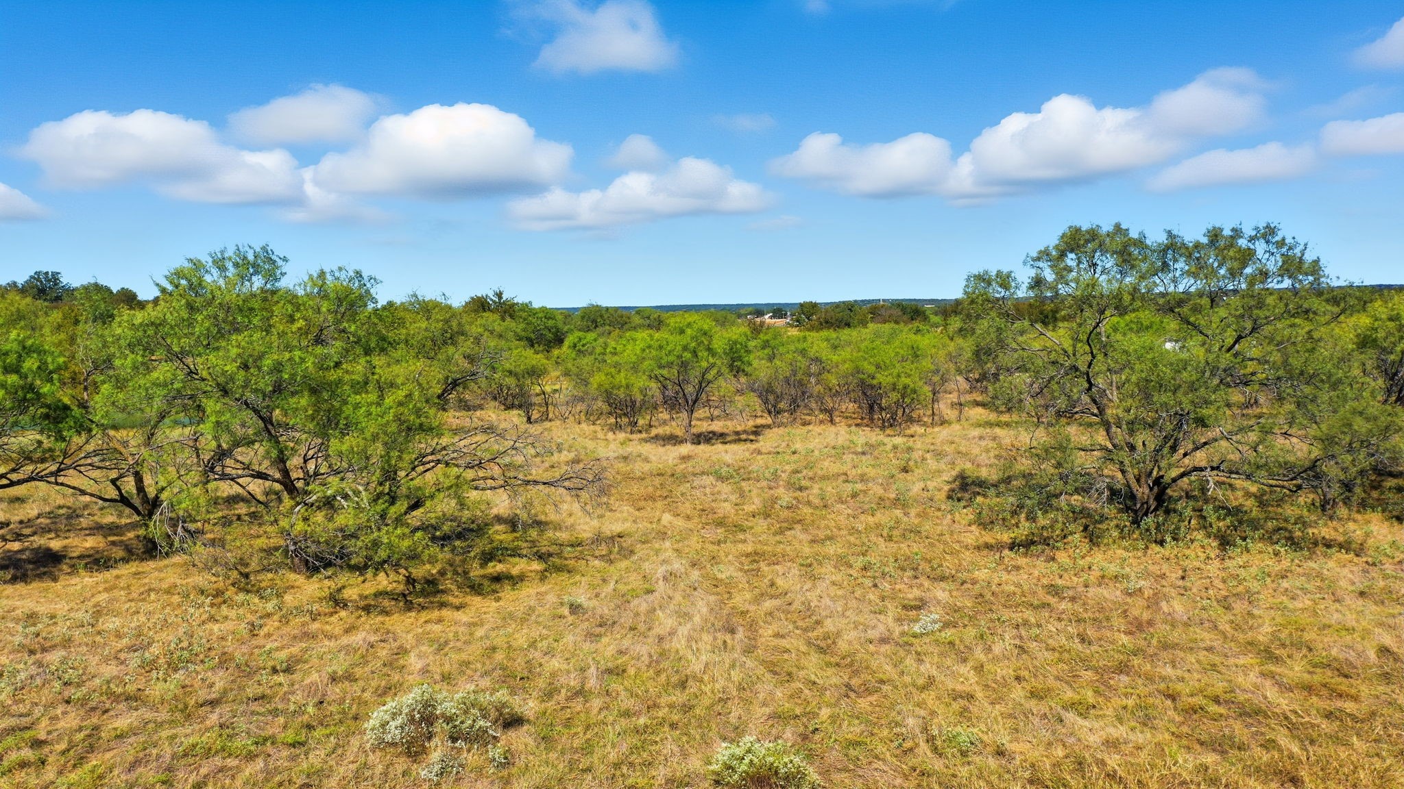 Tbd S Fm Road 113 Millsap TX 76066