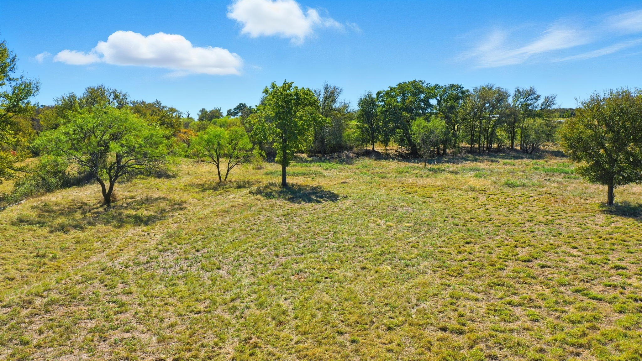 Tbd S Fm Road 113 Millsap TX 76066