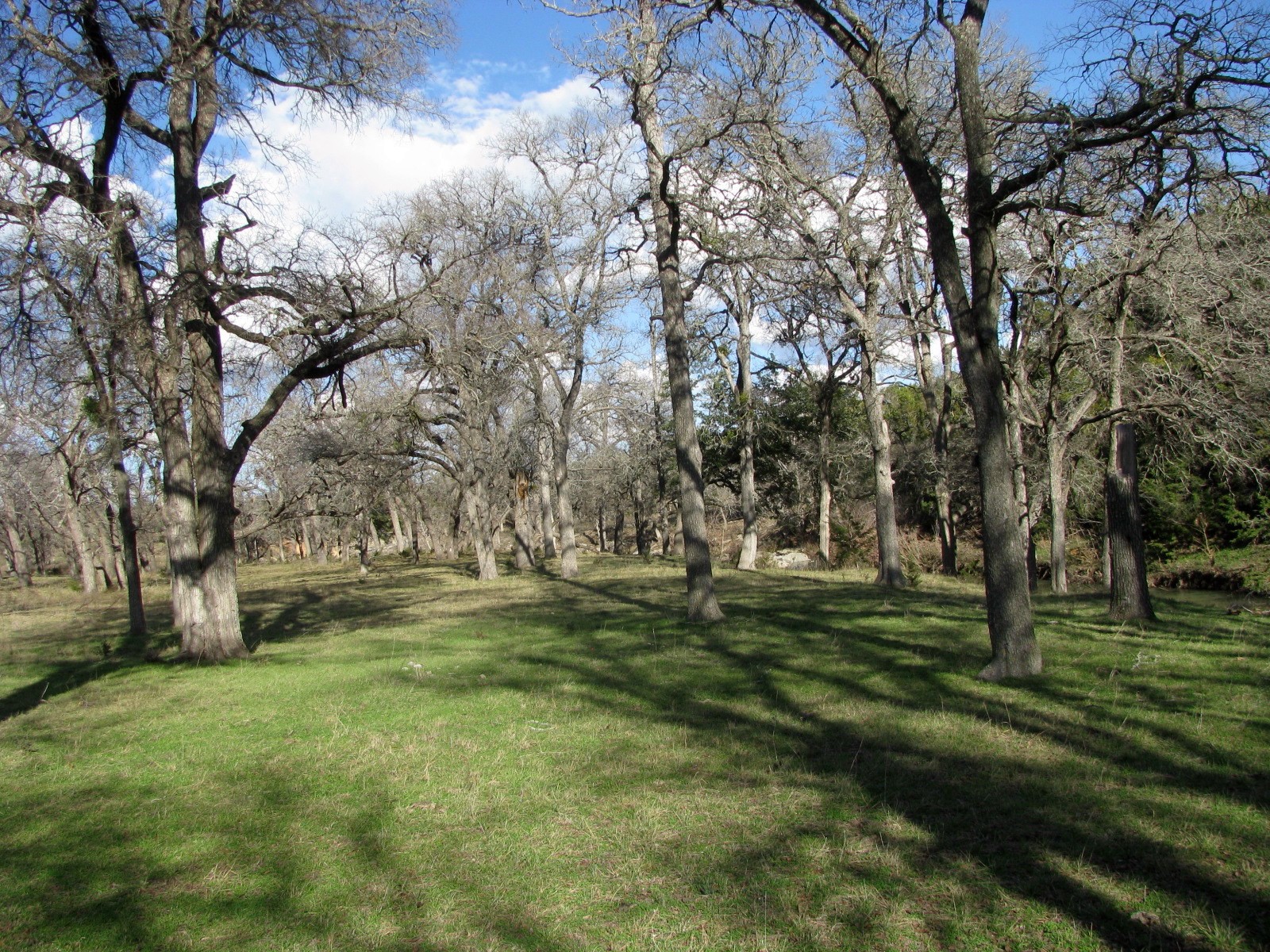 1248 Buffalo Creek Drive Evant TX 76525